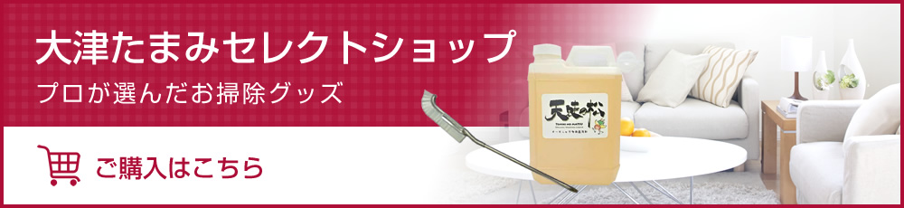 大津たまみセレクトショップ プロが選んだお掃除グッズ
